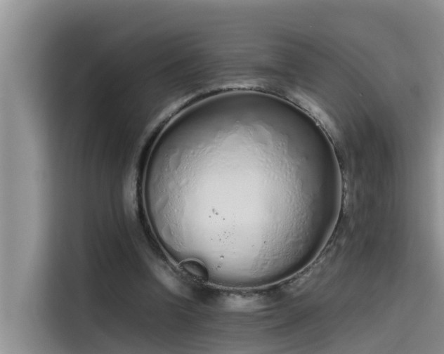 X0000115620346200911171320