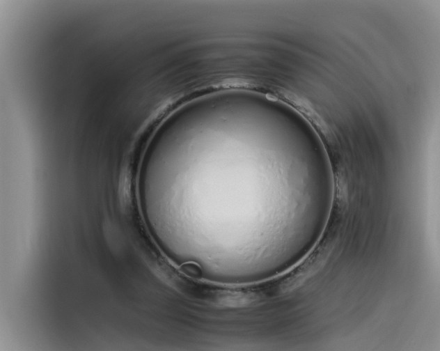 X0000115620347200911171320