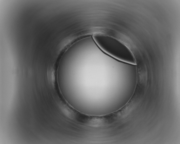 X0000115620350200911171320