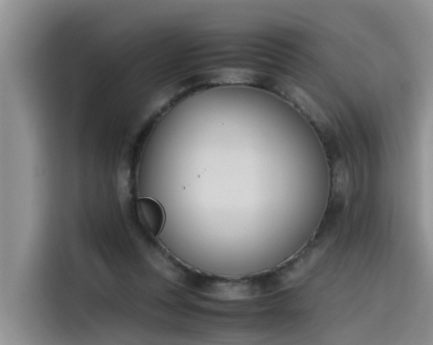 X0000115620351200911171320