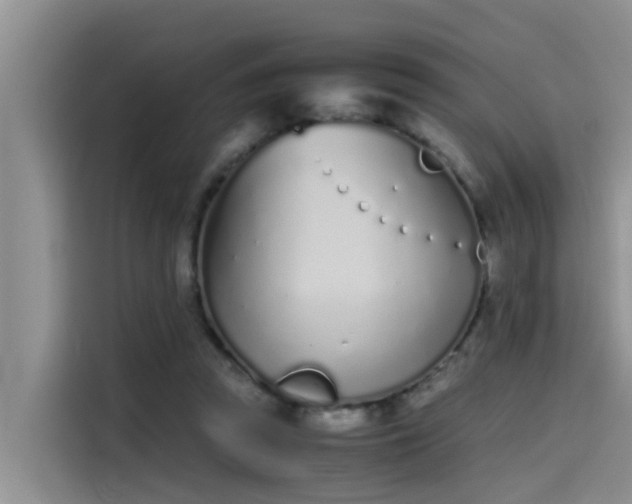 X0000115620353200911171320