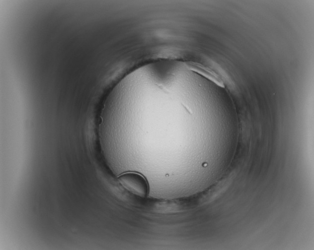 X0000115620354200911171320