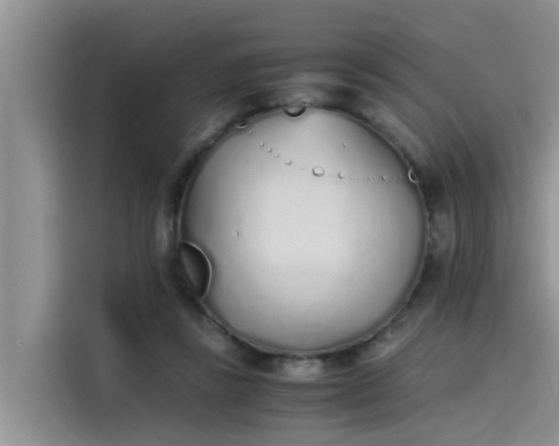 X0000115620355200911171320