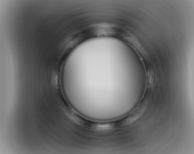 X0000115620357200911171320