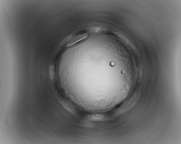 X0000115620361200911171320