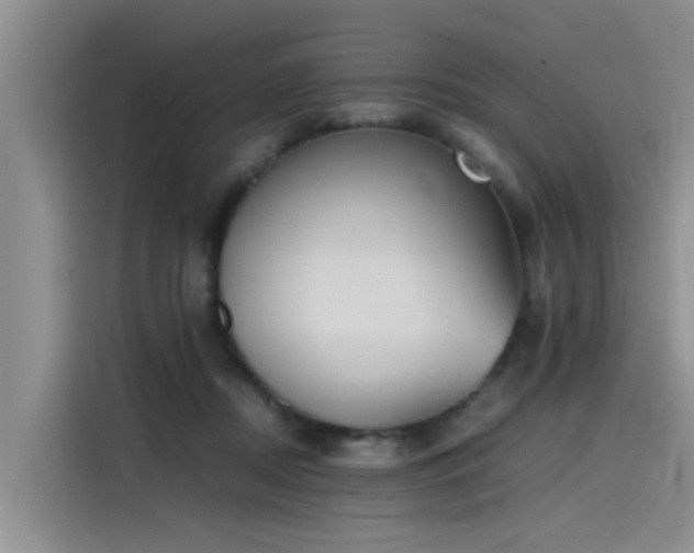 X0000115620362200911171320