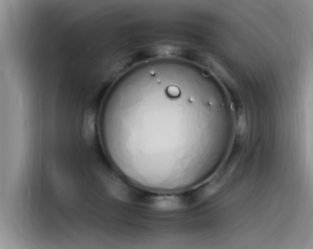 X0000115620363200911171320