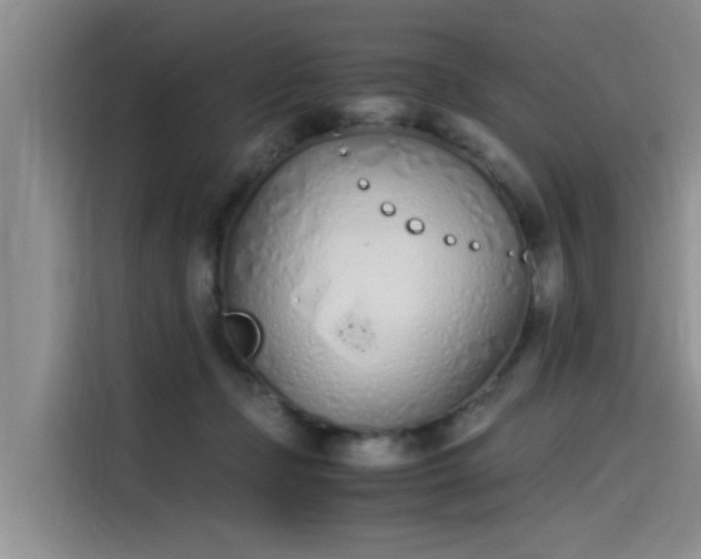 X0000115620365200911171320