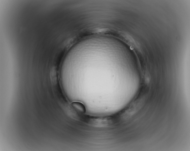 X0000115620366200911171320