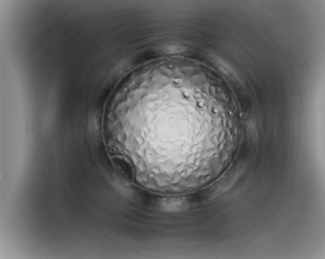 X0000115620373200911171320