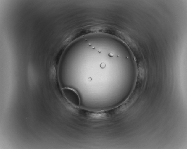 X0000115620375200911171321