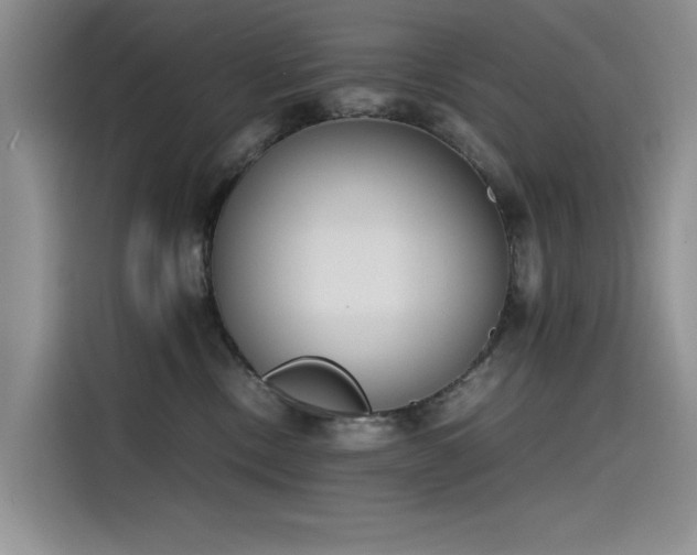 X0000115620378200911171321