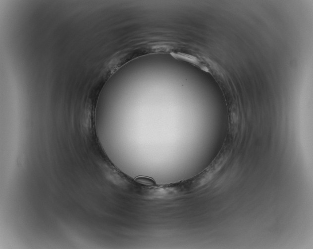 X0000115620379200911171321