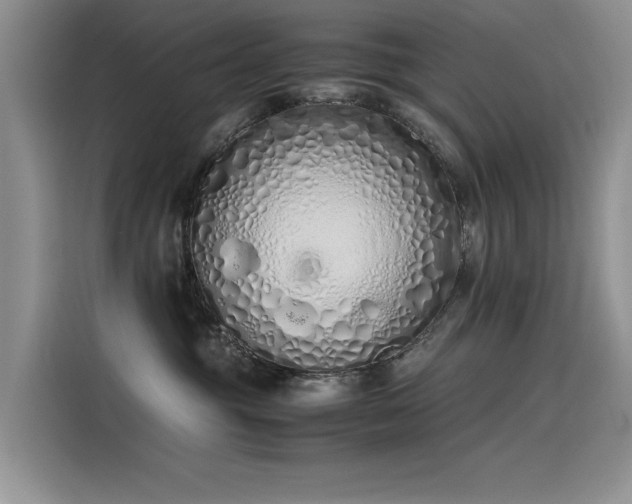 X0000115620381200911171321