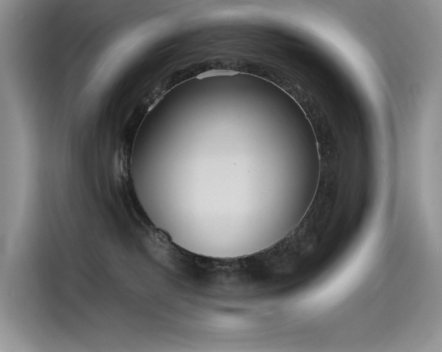 X0000115620382200911171321