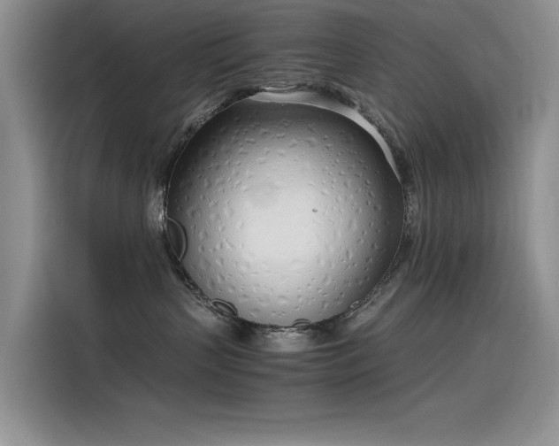 X0000115620383200911171321