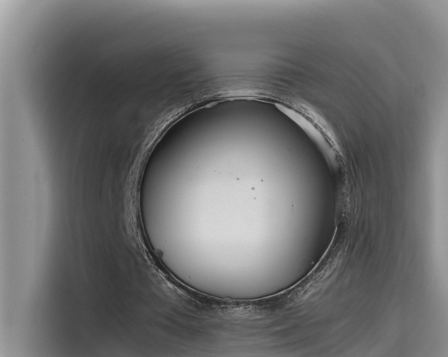 X0000115620385200911171320