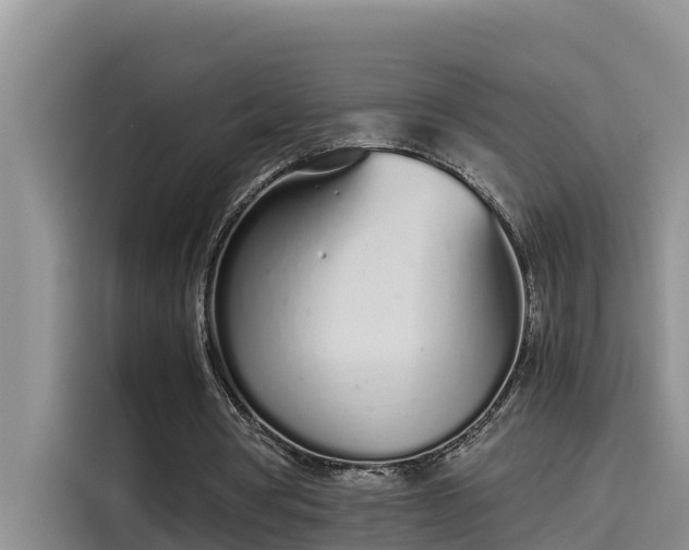 X0000115620386200911171320