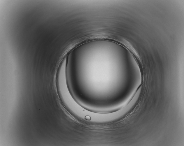 X0000115620389200911171320