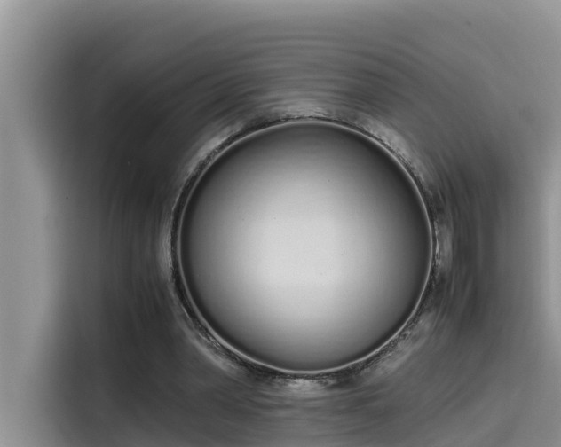 X0000115620390200911171320