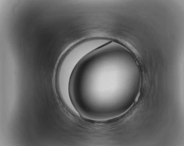 X0000115620391200911171320