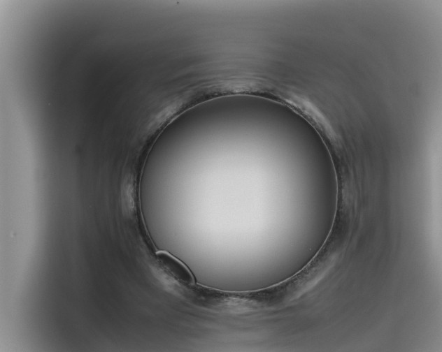 X0000115620393200911171320