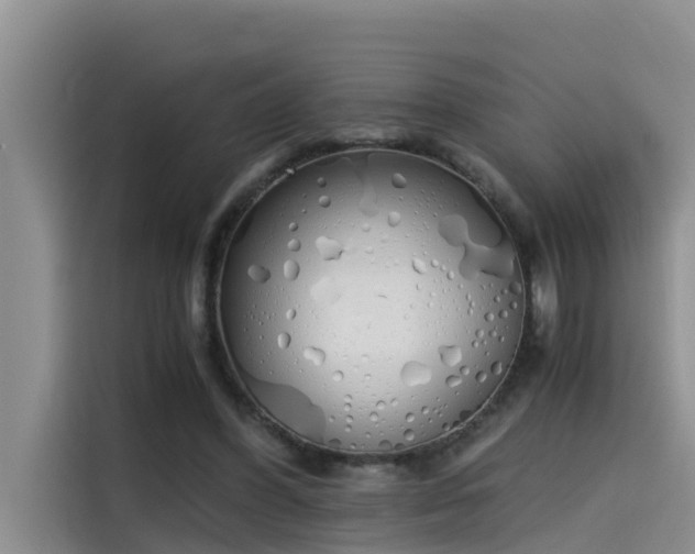 X0000115620396200911171320