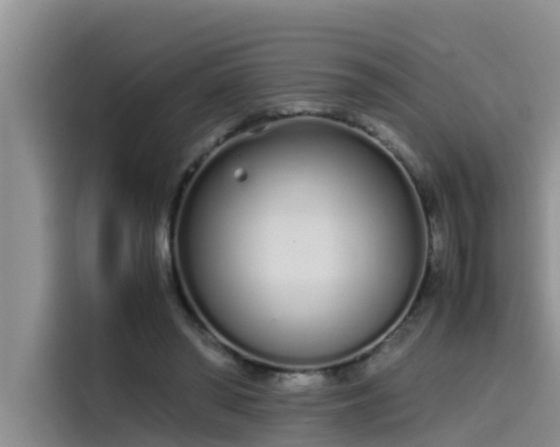 X0000115620398200911171320