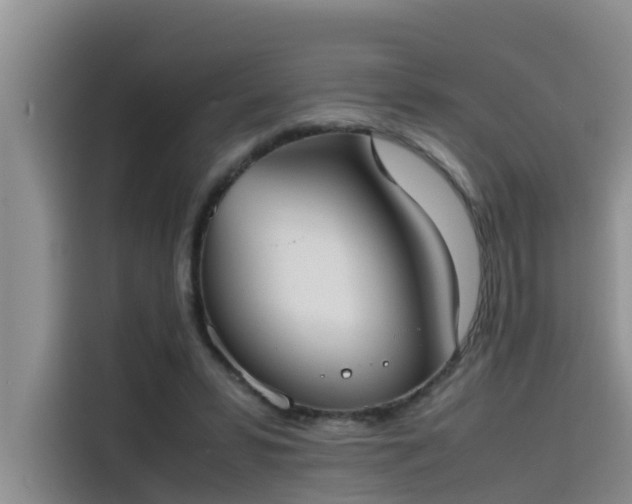 X0000115620399200911171320