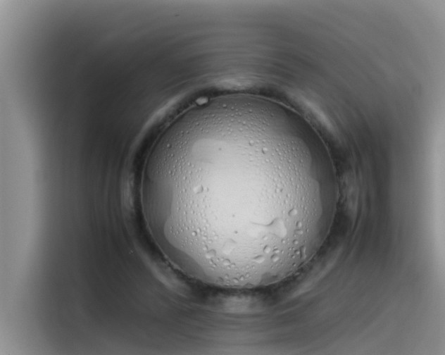 X0000115620400200911171320