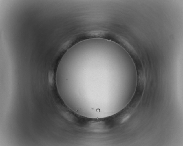 X0000115620403200911171320