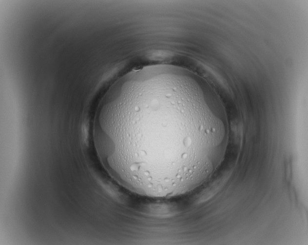 X0000115620404200911171320