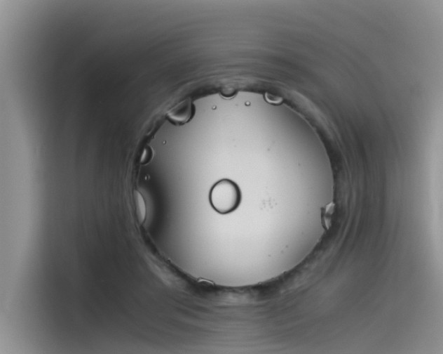 X0000115620405200911171320