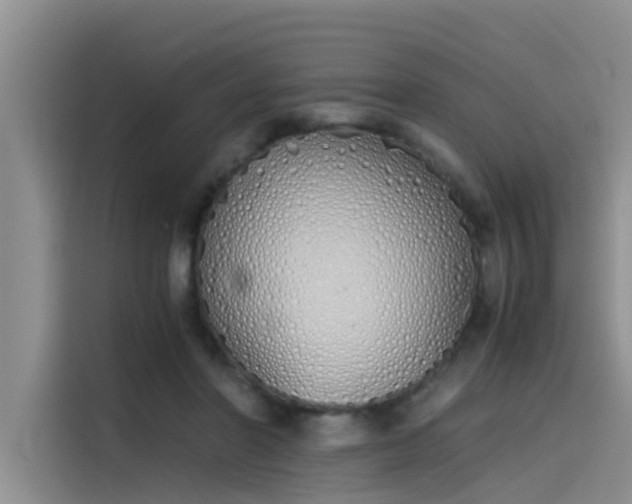 X0000115620406200911171320