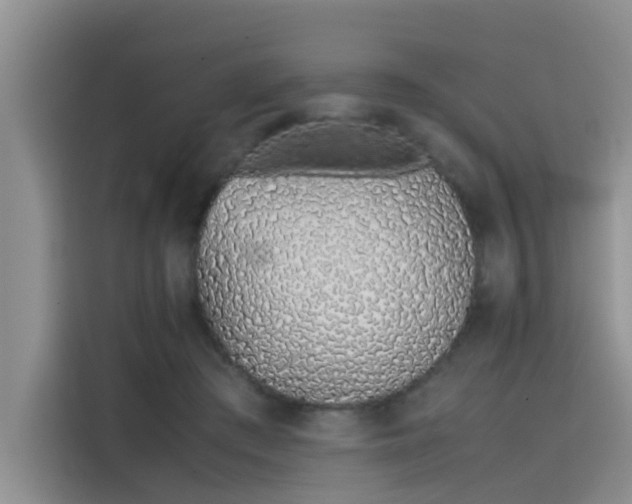 X0000115620409200911171320