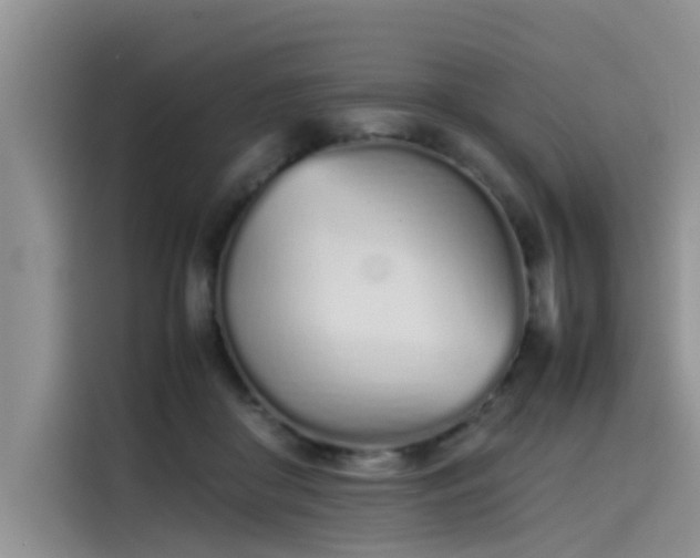 X0000115620410200911171320