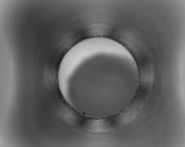 X0000115620411200911171320