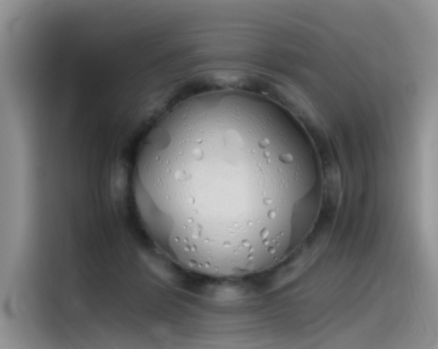 X0000115620412200911171320