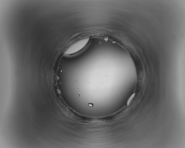 X0000115620413200911171320