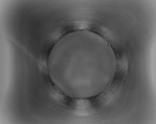 X0000115620415200911171320