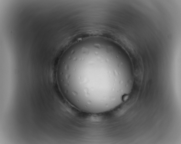 X0000115620416200911171320