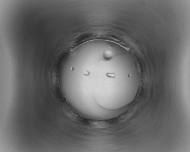 X0000115620417200911171320