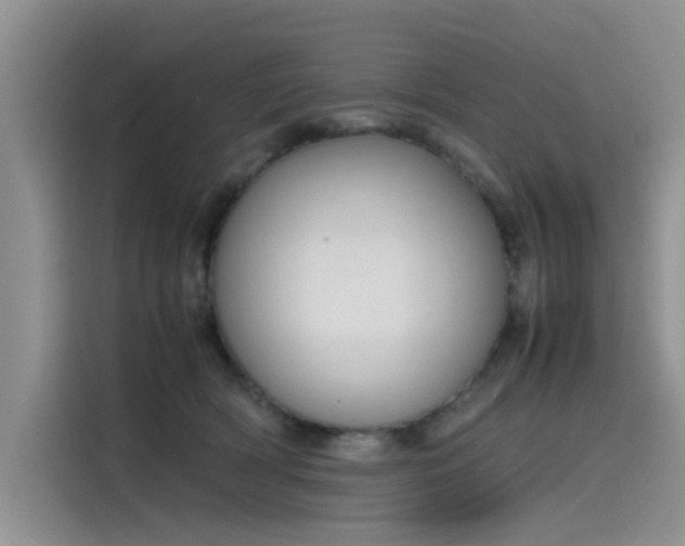 X0000115620418200911171320