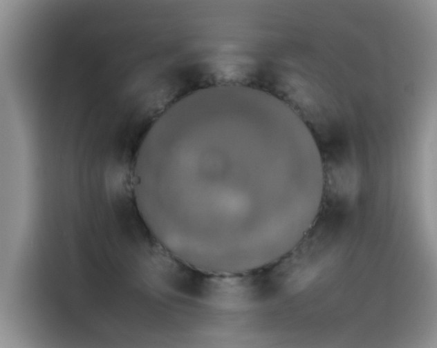 X0000115620419200911171320