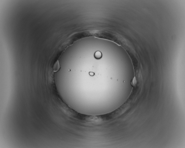 X0000115620421200911171320