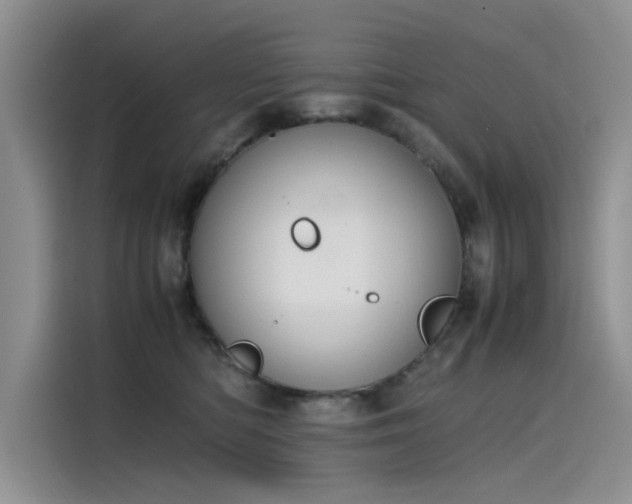 X0000115620422200911171320