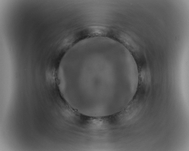 X0000115620423200911171319