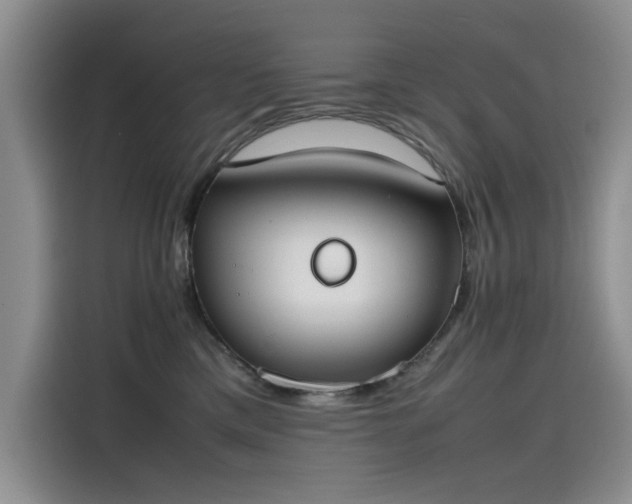 X0000115620425200911171319