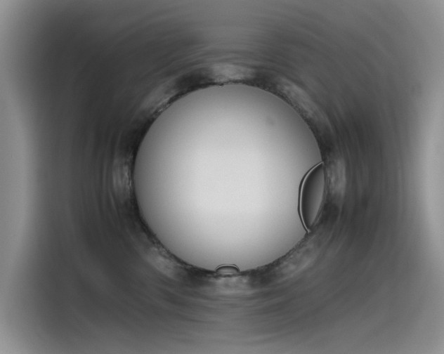 X0000115620426200911171319