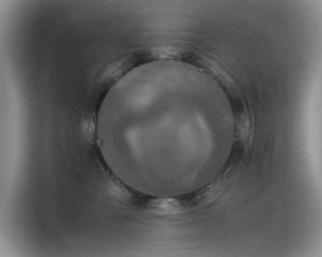 X0000115620427200911171319